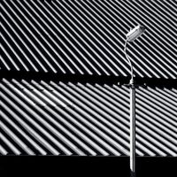 Craven Faults - Erratics & Unconformities vinyl cover