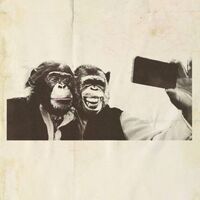 Crazy P - Age Of The Ego vinyl cover