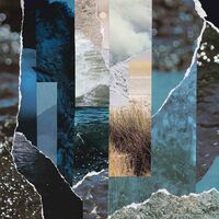 Cremation Lily - Dreams Drenched In Static vinyl cover