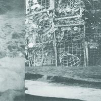 Cremation Lily - The Processes And Instruments Of Normal People vinyl cover