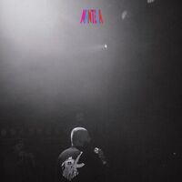 Crimeapple - El Cantante vinyl cover