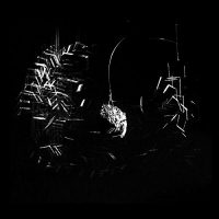 Cristi Cons - Perceptual vinyl cover