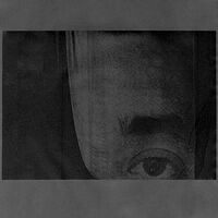 Cristian Vogel - Mind Control vinyl cover