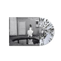 Crossing I's Dotting T's - I Used To Be vinyl cover