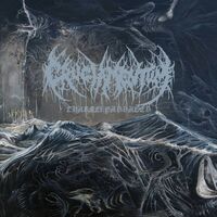 Cruciamentum - Charnel Passages vinyl cover