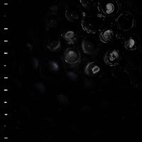 Crumb - Ice Melt vinyl cover