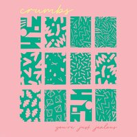 Crumbs - You're Just Jealous vinyl cover