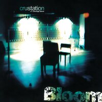 Crustation & Bronagh Slevin - Bloom (Translucent Purple) vinyl cover