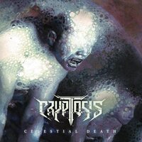 Cryptosis - Celestial Death vinyl cover