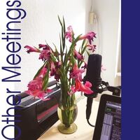 Crys Cole - Other Meetings vinyl cover