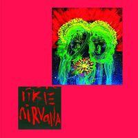 Cub Sport - Like Nirvana vinyl cover