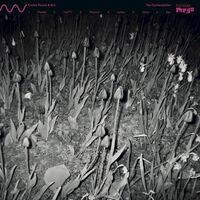 Cucina Povera  &  Els - The Oystercatcher vinyl cover