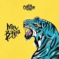 Cucoma Combo - Non Basta vinyl cover