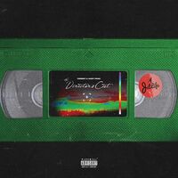 Currensy  & Harry Fraud - The Director's Cut vinyl cover