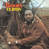Curtis Mayfield - Roots vinyl cover