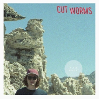 Cut Worms - Alien Sunset vinyl cover