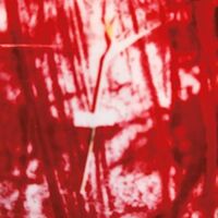 D.a.n. - Sundance vinyl cover