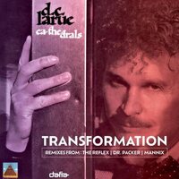 D.C. Larue - Cathedrals: Transformation vinyl cover