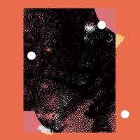 D.d Dumbo - Utopia Defeated vinyl cover