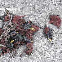 Dadub - A Sun Called Moon vinyl cover