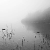 Dakota Suite - This River Only Brings Poison vinyl cover