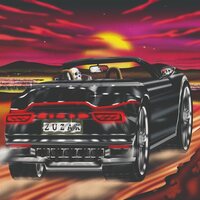 Damaged Bug - Zuzax vinyl cover