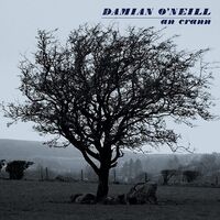 Damian O'neill - An Crann vinyl cover