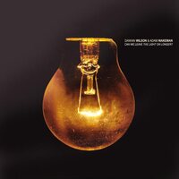 Damian Wilson - Can We Leave The Light On Longer? vinyl cover