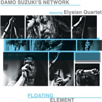 Damo Network Suzuki - Floating Element vinyl cover