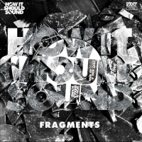 Damu The Fudgemunk - Back To Basics vinyl cover