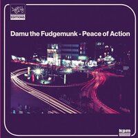Damu the Fudgemunk - Peace Of Action vinyl cover