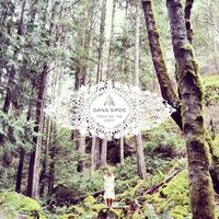 Dana Sipos - Trick Of The Light vinyl cover