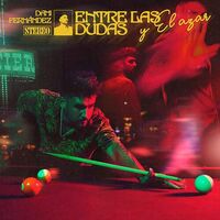 Dani Fernandez - Entre Las Dudas Y El Azar vinyl cover