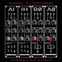 Daniel B. Prothese - Uberlastung 7 Limited vinyl cover