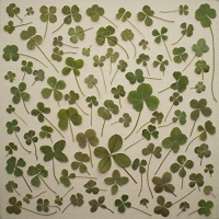 Daniel Martin Moore - Turned Over To Dreams vinyl cover