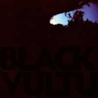 Daniel Norgren - Black Vultures vinyl cover