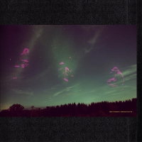 Daniel Norgren - Skogens Frukter vinyl cover