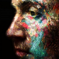 Daniel O'sullivan - Veld vinyl cover