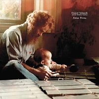 Daniel Schmidt - Abies Firma vinyl cover