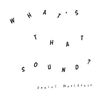 Daniel Woolhouse - What's That Sound vinyl cover