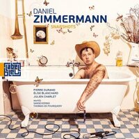 Daniel Zimmermann - Snapshots vinyl cover