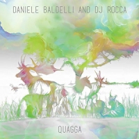 Daniele Baldelli & Dj Rocca - Quagga vinyl cover
