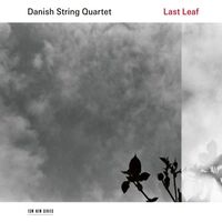 Danish String Quartet - Last Leaf vinyl cover