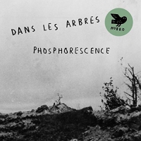 Dans Les Arbres - Phosphoresence vinyl cover