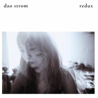 Dao Strom - Redux vinyl cover
