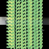 Daphni - Jiaolong vinyl cover