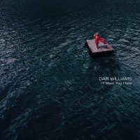Dar Williams - I'll Meet You Here vinyl cover