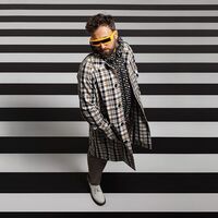 Dargen D'amico - Nei Sogni Nessuno E Monogamo vinyl cover