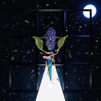 Darian Thomas - Thomas: A Room With Many Doors - Night vinyl cover