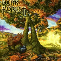 Dark Forest - Beyond The Veil vinyl cover